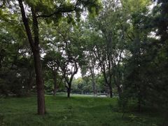 -玲珑塔公园