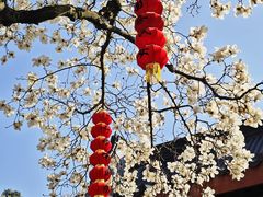 -杭州上天竺法喜讲寺
