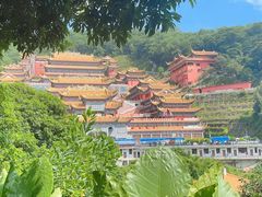 -东莞市大岭山森林公园