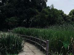 -成都市活水公园