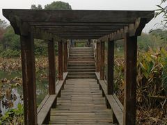 -艾溪湖湿地公园