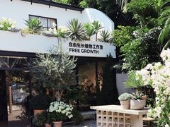 -自由生长植物工作室(深港花卉中心店)