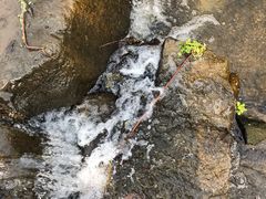-白水寺森林公园