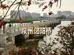 -洛阳桥