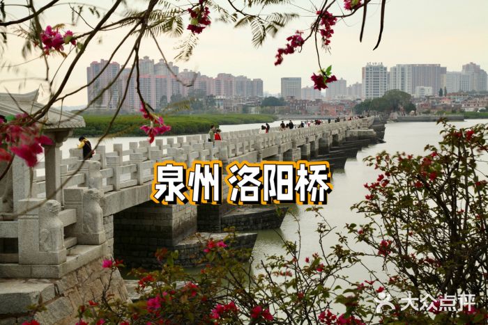 洛阳桥图片
