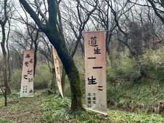 -句容茅山景区