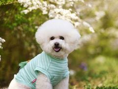 -乐琪宠物(青塔西路店)