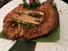 -紫滇源云南生态菜(丹凤街店)