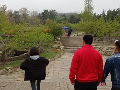 -沂蒙山旅游区云蒙景区(蒙山国家森林公园)