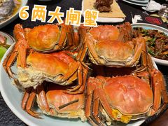 阳澄湖大闸蟹-菲乐餐厅(三十年经营·湖滨路店)