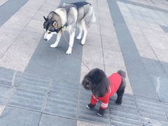 -万达广场(无锡滨湖店)