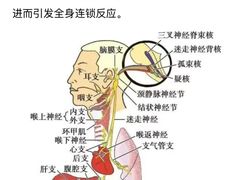 -UP健身私教馆(南山书城店)