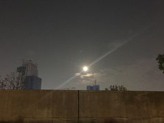 -武昌江滩