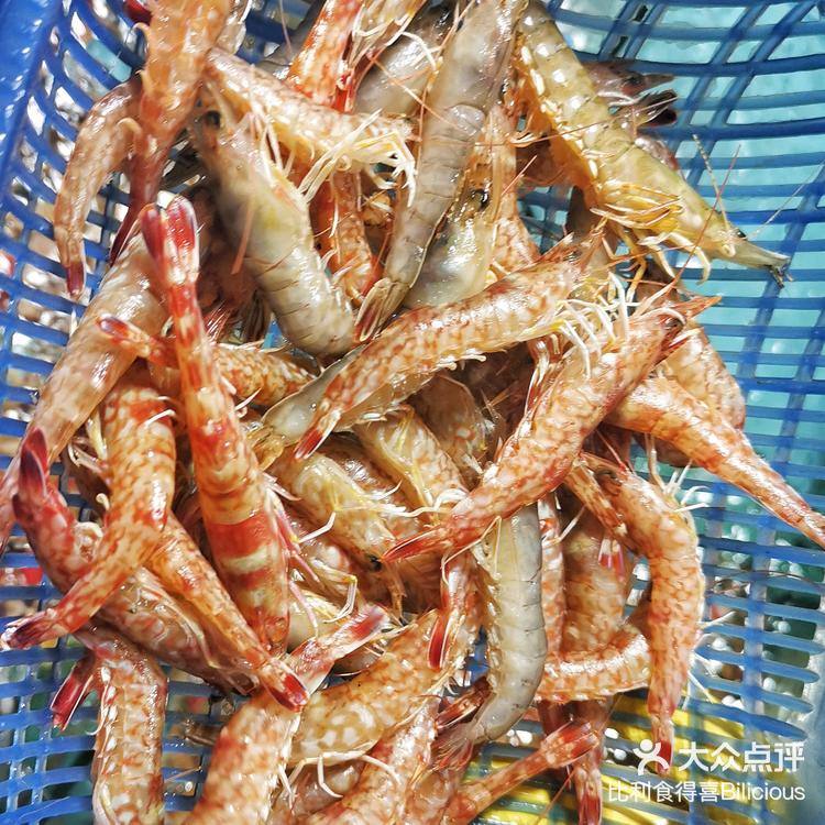 赤米虾