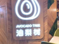 -油梨树AVOCADO TREE(嘉里中心店)