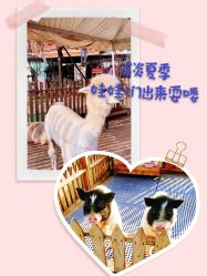 -萌宠亲子动物乐园(槐房万达店)