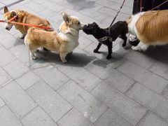 -新光里