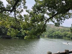 -白马涧龙池景区