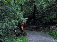 -中国第四纪冰川遗迹陈列馆