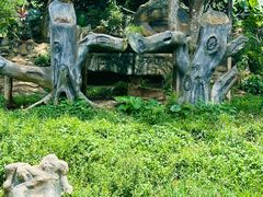 -海南热带野生动植物园