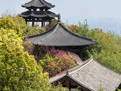 -杭州半山国家森林公园