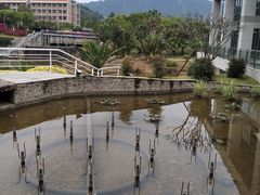-厦门国家会计学院