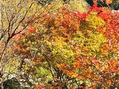-叠溪松坪沟景区