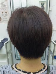 -ML名流·剪发烫发染发