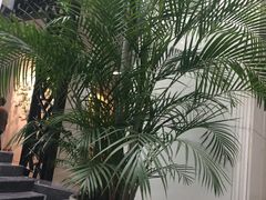 -苏州图书馆(人民路总馆)