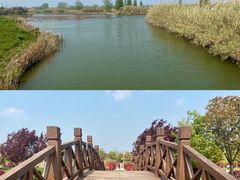 -泗洪洪泽湖湿地景区