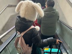 -棋盘山冰雪大世界