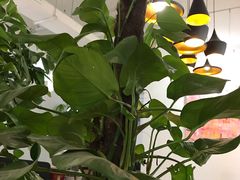 -manabe (共和新路店)