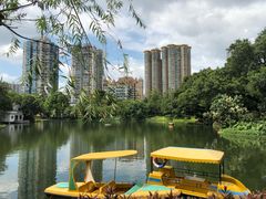 -晓港公园