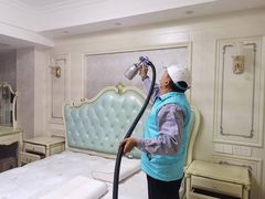 -Liteclear日本进口强效除甲醛检测治理(旗舰店)