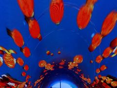 -塘沽站