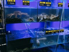 水产区-金龙·打边炉(武进路店)