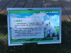 -大连铭湖国际观光牧场