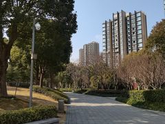 -南翔镇银翔湖公园