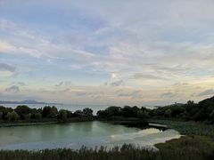 -上海市保健医疗中心