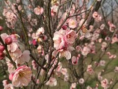 -蜀冈西峰生态公园