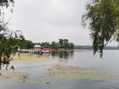 -长春市南湖公园