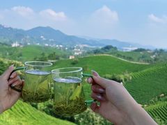 -波尔登森林公园