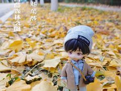 -长白岛森林公园