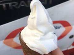 -富豪雪糕车流动点(尖沙咀店)