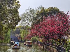 -南汇桃花村