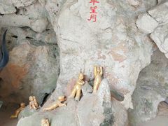 -幕燕滨江·长江观音景区