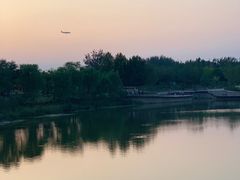 -东郊湿地公园