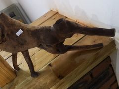 -五营红松林海景区