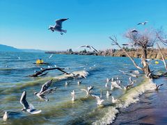 -捞渔河湿地公园