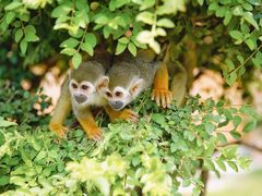 -济南野生动物世界